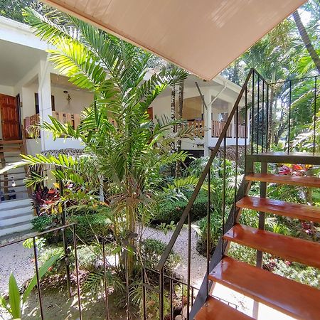 Colibri Apartments - 4 Min Walk To The Beach! Playa Santa Teresa  Εξωτερικό φωτογραφία