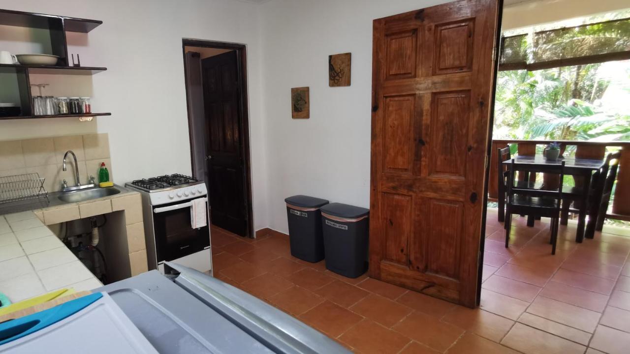Colibri Apartments - 4 Min Walk To The Beach! Playa Santa Teresa  Εξωτερικό φωτογραφία