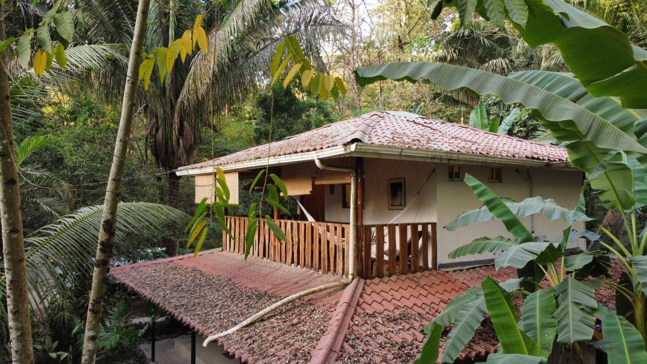 Colibri Apartments - 4 Min Walk To The Beach! Playa Santa Teresa  Εξωτερικό φωτογραφία