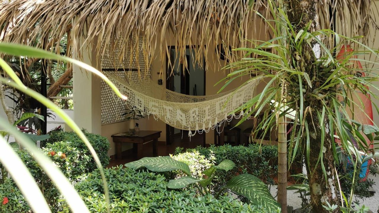 Colibri Apartments - 4 Min Walk To The Beach! Playa Santa Teresa  Εξωτερικό φωτογραφία