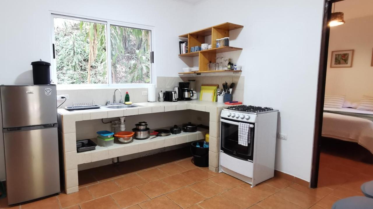 Colibri Apartments - 4 Min Walk To The Beach! Playa Santa Teresa  Εξωτερικό φωτογραφία