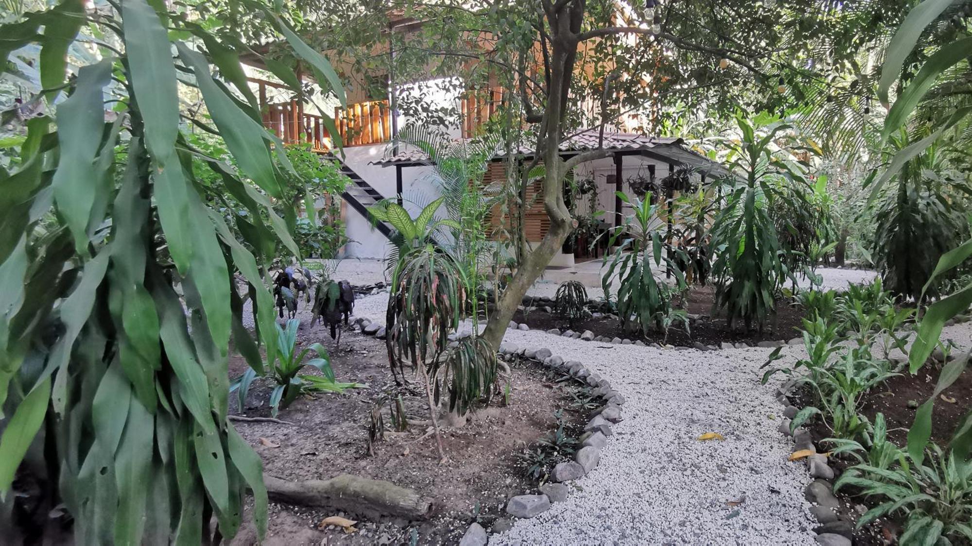 Colibri Apartments - 4 Min Walk To The Beach! Playa Santa Teresa  Δωμάτιο φωτογραφία