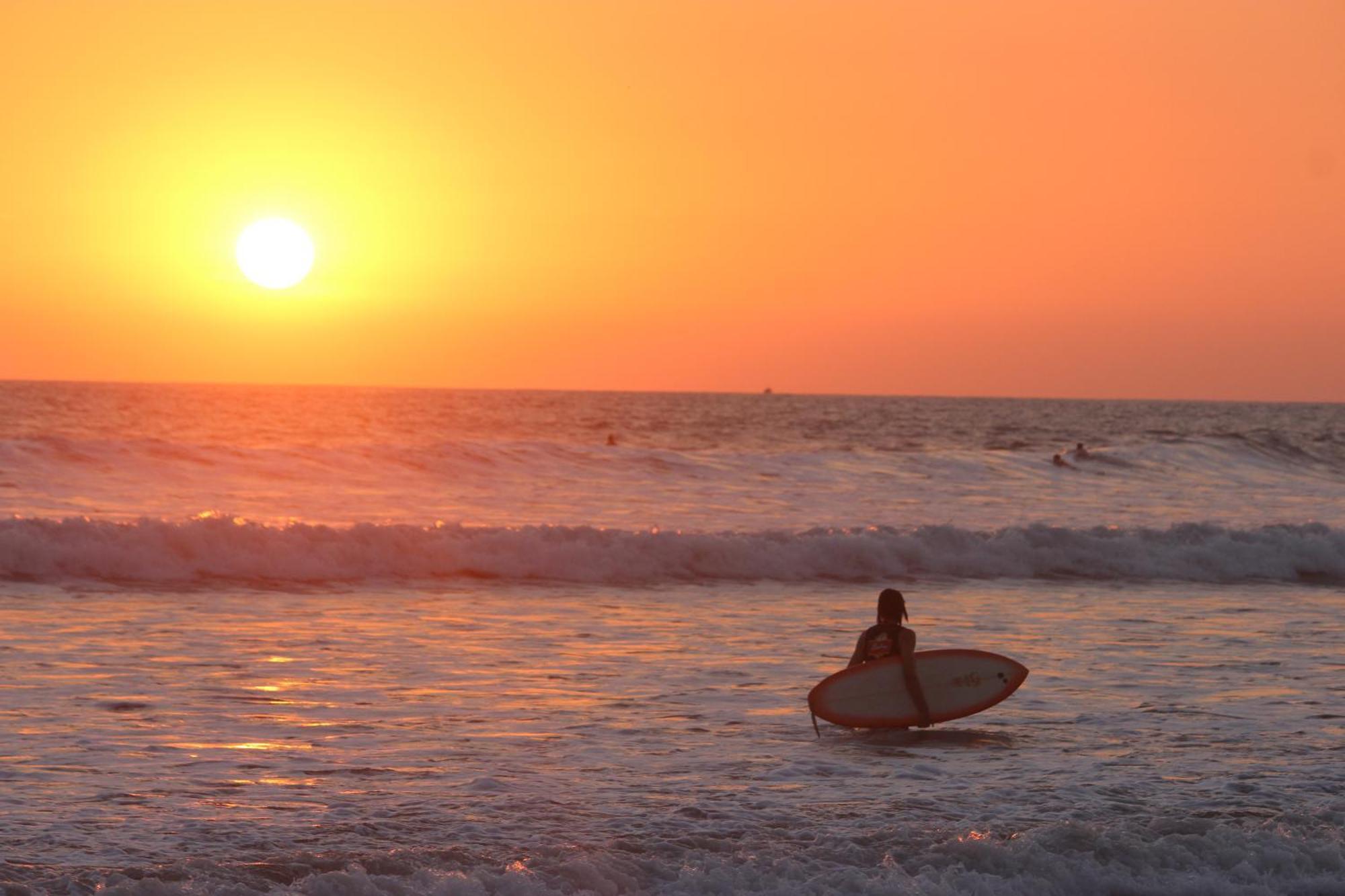 Colibri Apartments - 4 Min Walk To The Beach! Playa Santa Teresa  Εξωτερικό φωτογραφία