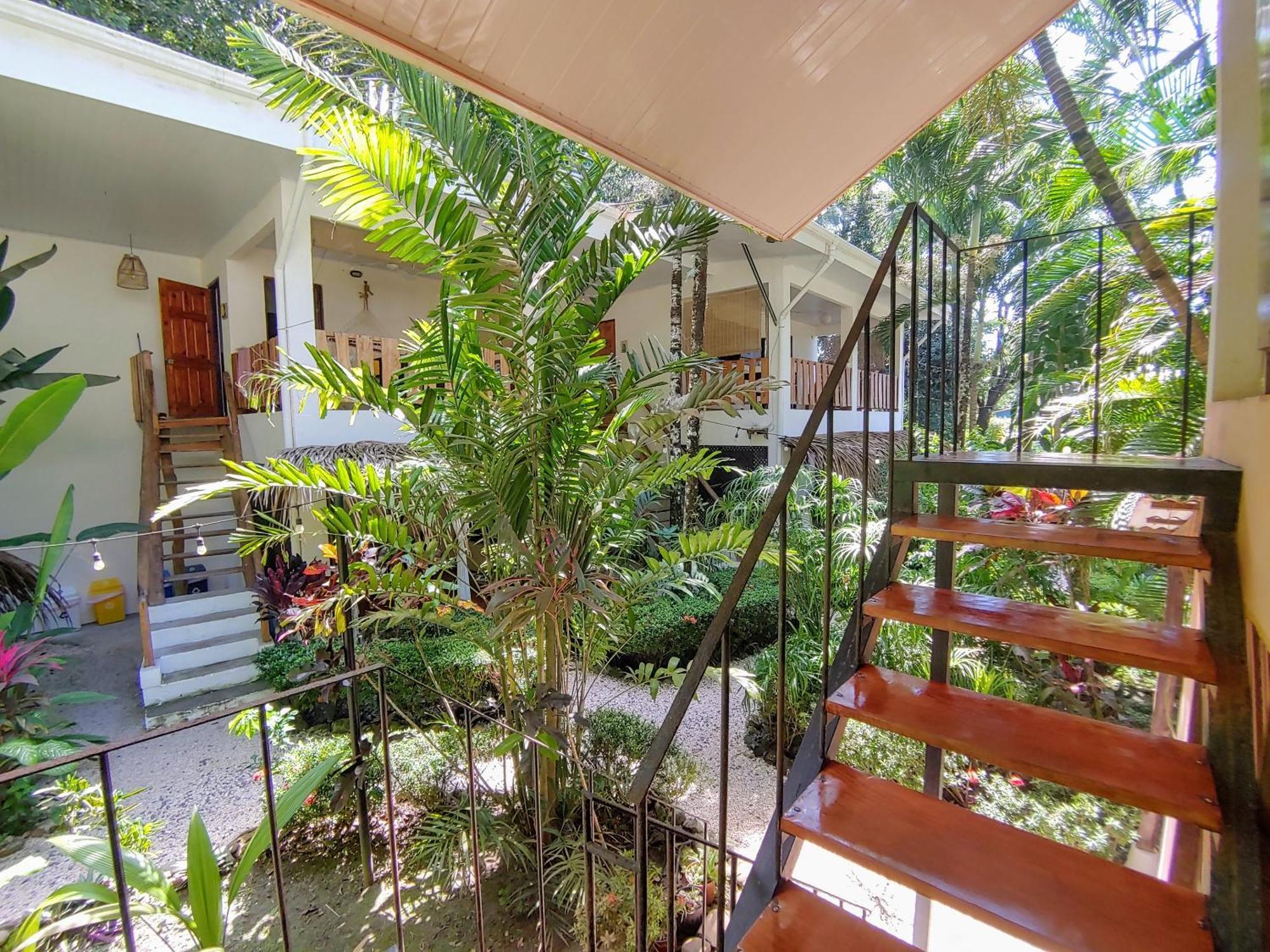 Colibri Apartments - 4 Min Walk To The Beach! Playa Santa Teresa  Εξωτερικό φωτογραφία